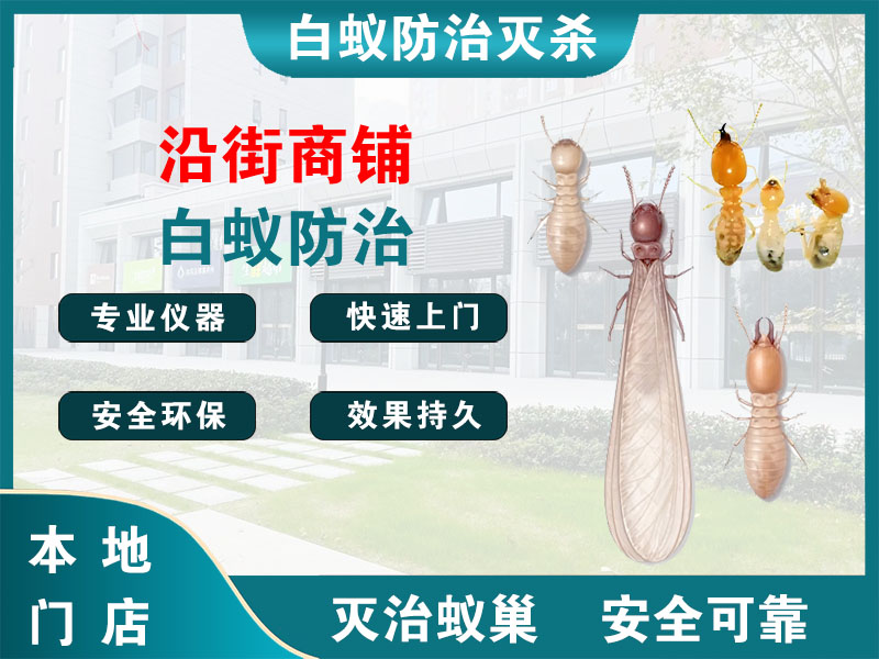 永嘉县沿街商铺白蚁防治