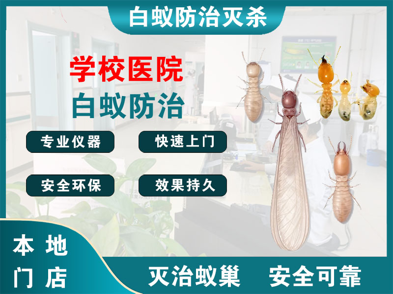 永嘉县学校医院白蚁防治