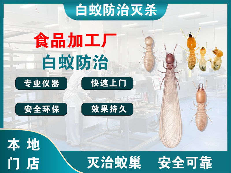永嘉县食品加工厂白蚁防治