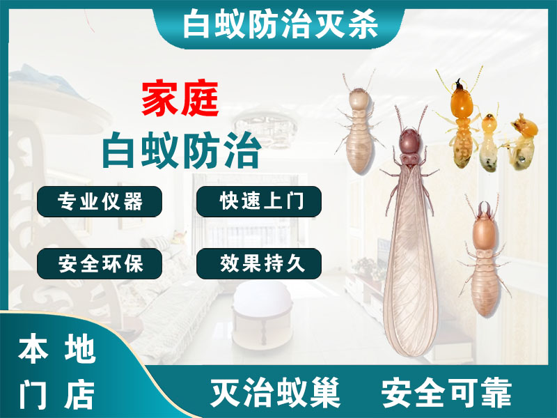 永嘉县家庭白蚁防治