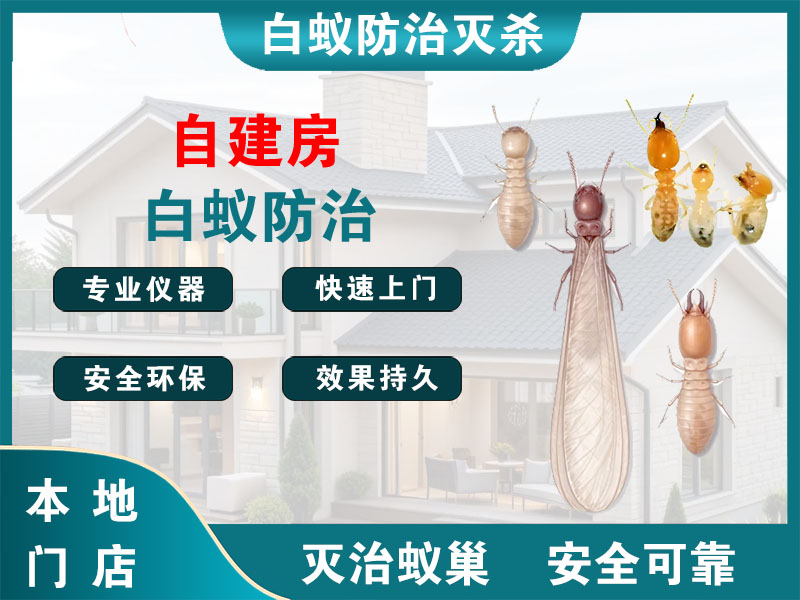 永嘉县自建房白蚁防治