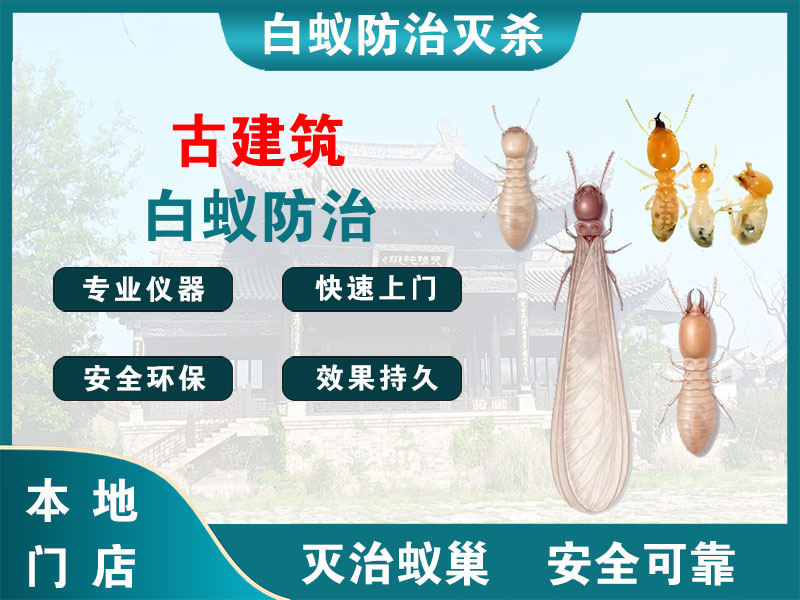 永嘉县古建筑白蚁防治