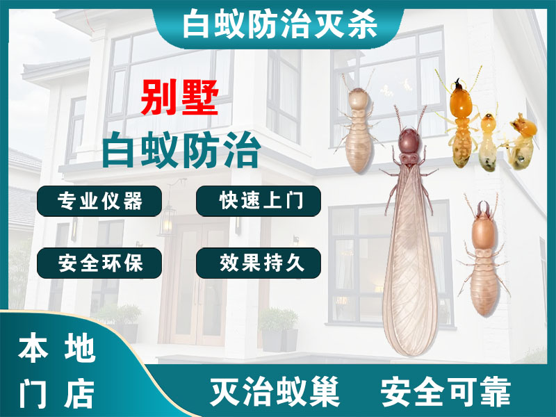 永嘉县别墅白蚁防治